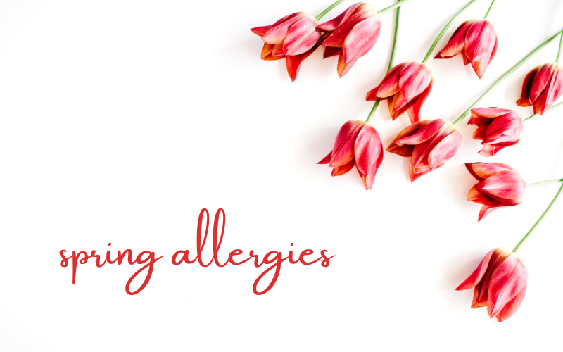 spring allergies