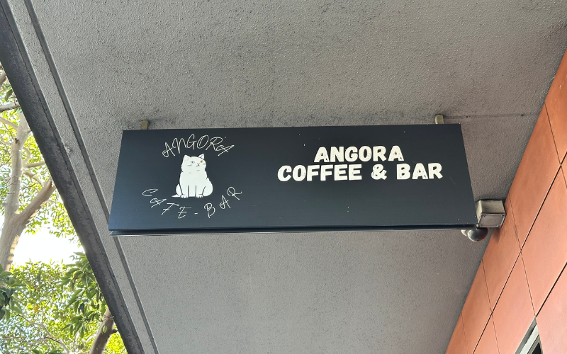 angora